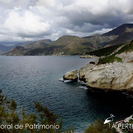 Studio Terremer Patrimonio Exteriér fotografie