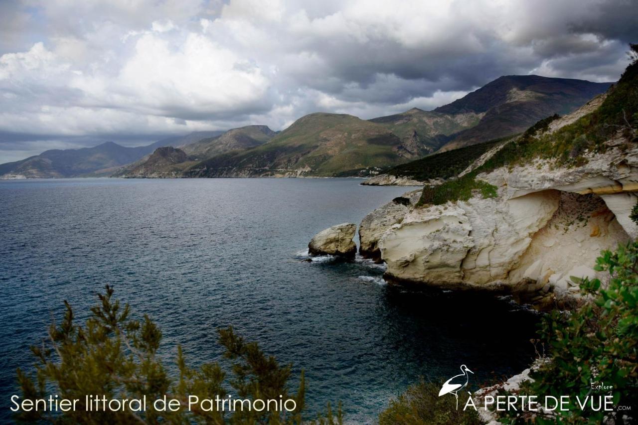 Studio Terremer Patrimonio Exteriér fotografie