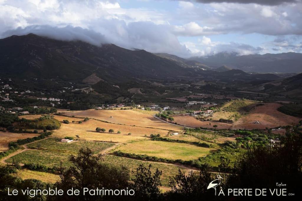 Studio Terremer Patrimonio Exteriér fotografie